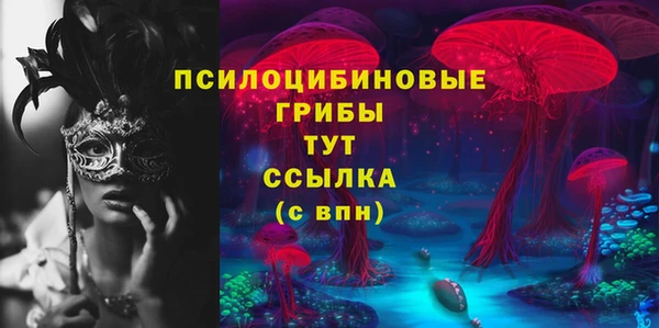 круглые Иннополис