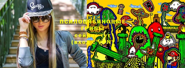 круглые Иннополис