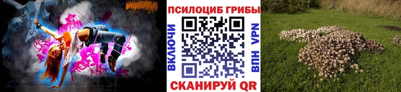 Купить  Железногорск-Илимский  Псилоцибиновые грибы GOLDEN TEACHER 